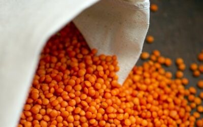 Vöröslencse főzelék